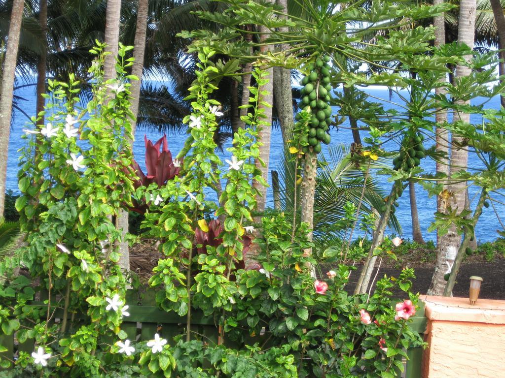 Oceanfront Cottage Near The Kalapana Lava Flows Kehena Номер фото