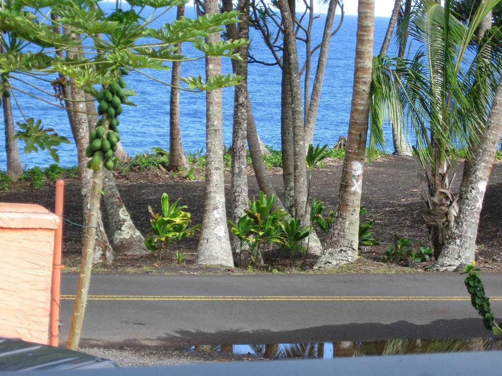 Oceanfront Cottage Near The Kalapana Lava Flows Kehena Номер фото