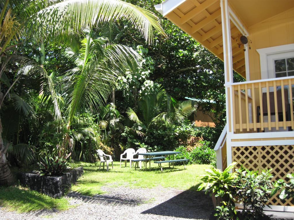 Oceanfront Cottage Near The Kalapana Lava Flows Kehena Номер фото