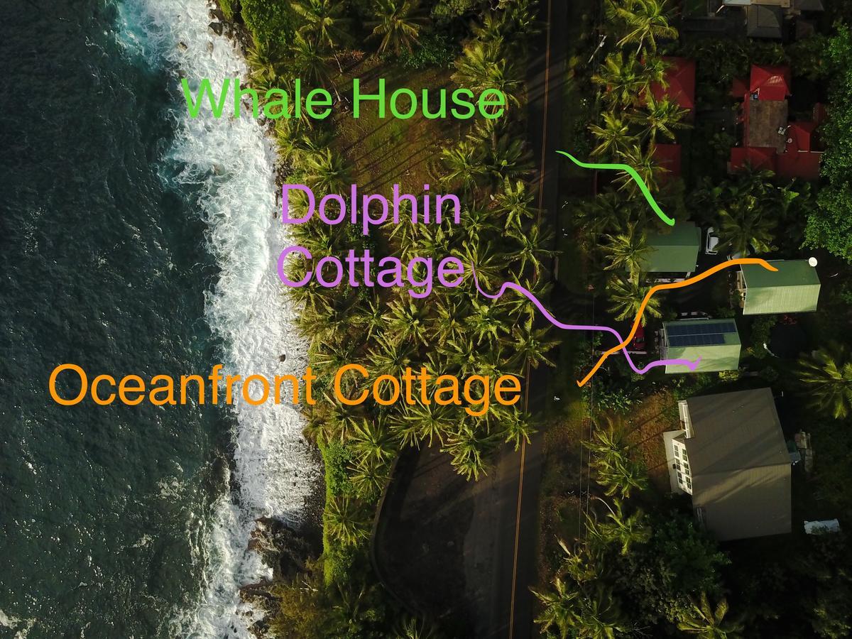 Oceanfront Cottage Near The Kalapana Lava Flows Kehena Экстерьер фото