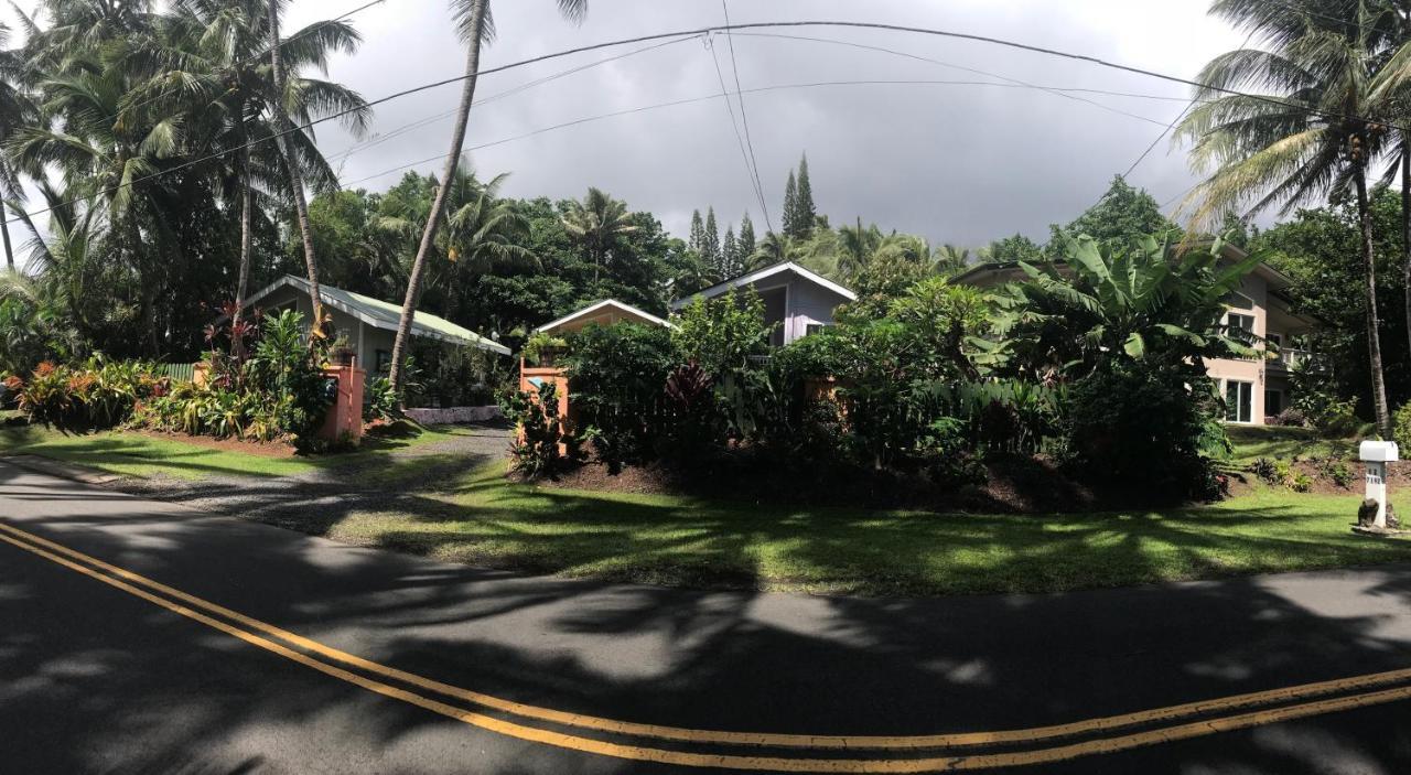 Oceanfront Cottage Near The Kalapana Lava Flows Kehena Экстерьер фото